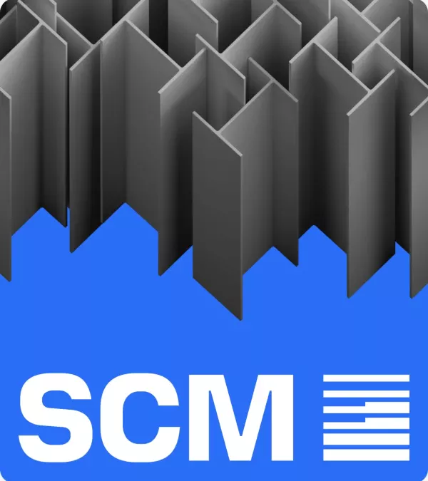 Corporate Platform for International Investment Holding SCM