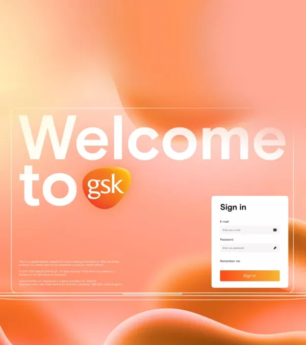 A comprehensive software solution for unified integration into the 12 countries